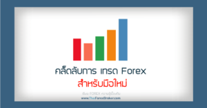 เคล็ดลับการเทรดForexสำหรับมือใหม่