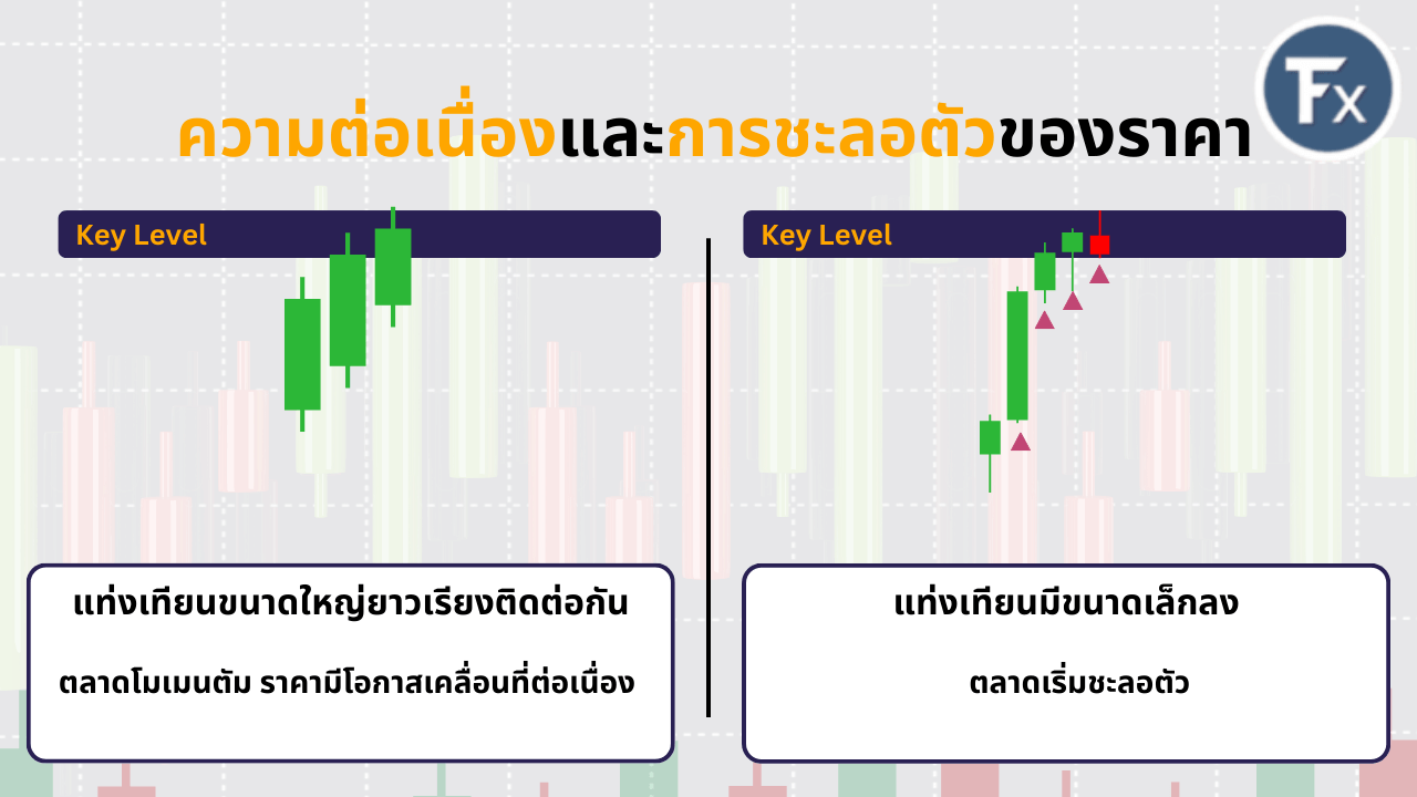 การวิเคราะห์โมเมนตัมตลาดผ่านขนาดความยาวของเนื้อเทียน
