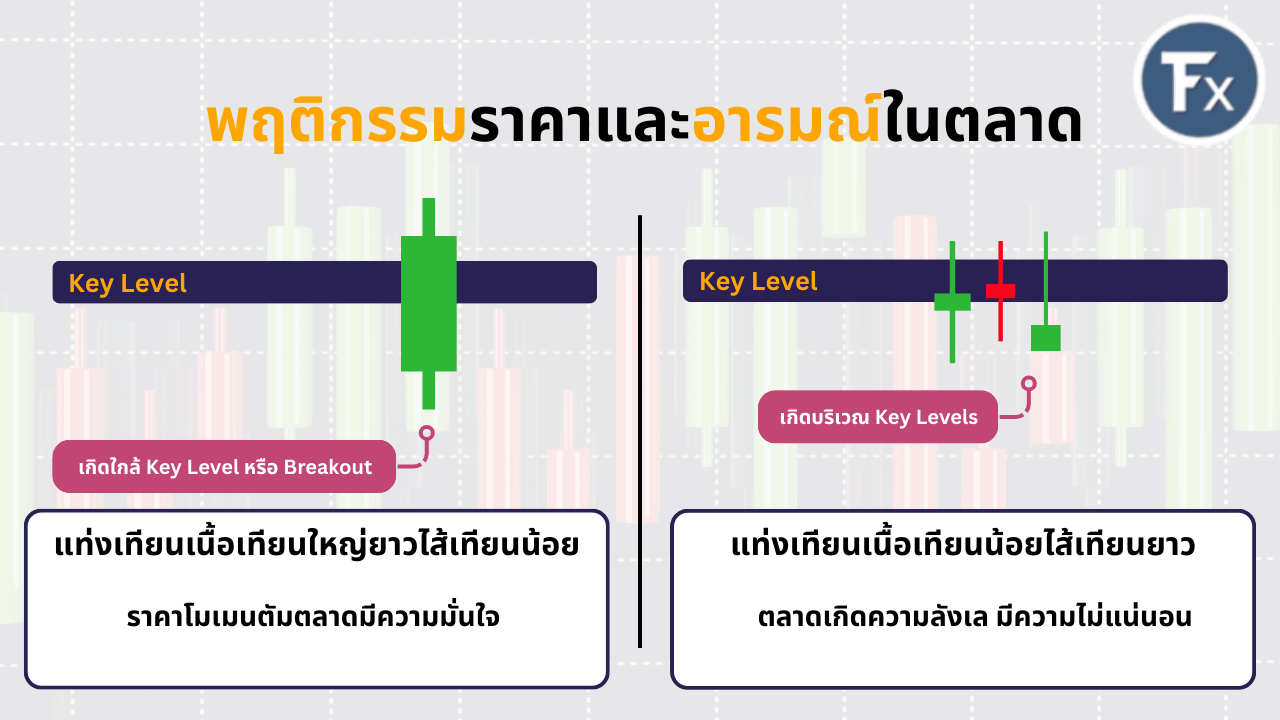 การอ่านพฤติกรรมราคาโดยใช้เนื้อเทียนและไส้เทียนบริเวณแนวรับแนวต้านสำคัญ