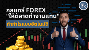 กลยุทธ์เทรด Forex แบบให้ตลาดทำงานแทนเพื่อกำไรอัตโนมัติ
