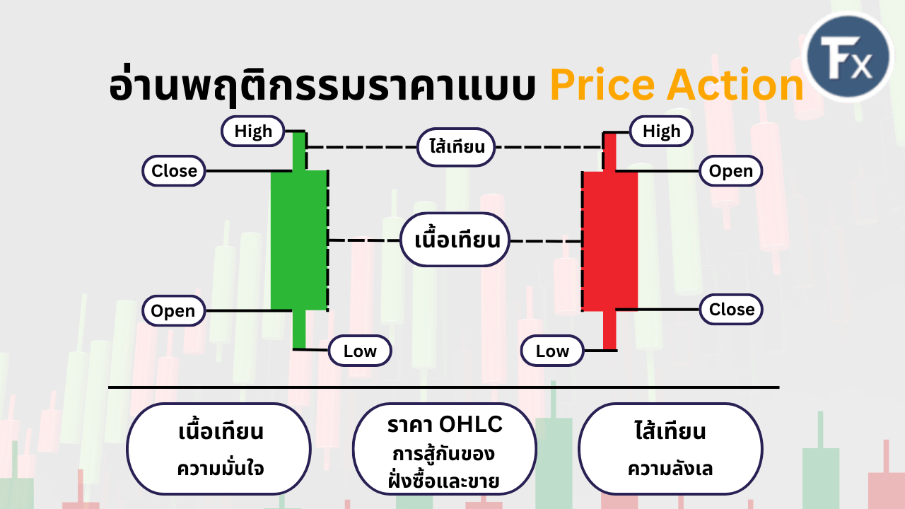 แผนภาพอธิบายส่วนประกอบของแท่งเทียน ไส้เทียนและเนื้อเทียนในมุมมอง Price Action