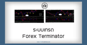 ระบบเทรด Forex Terminator