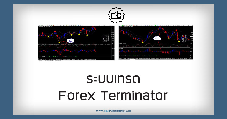 ระบบเทรด Forex Terminator