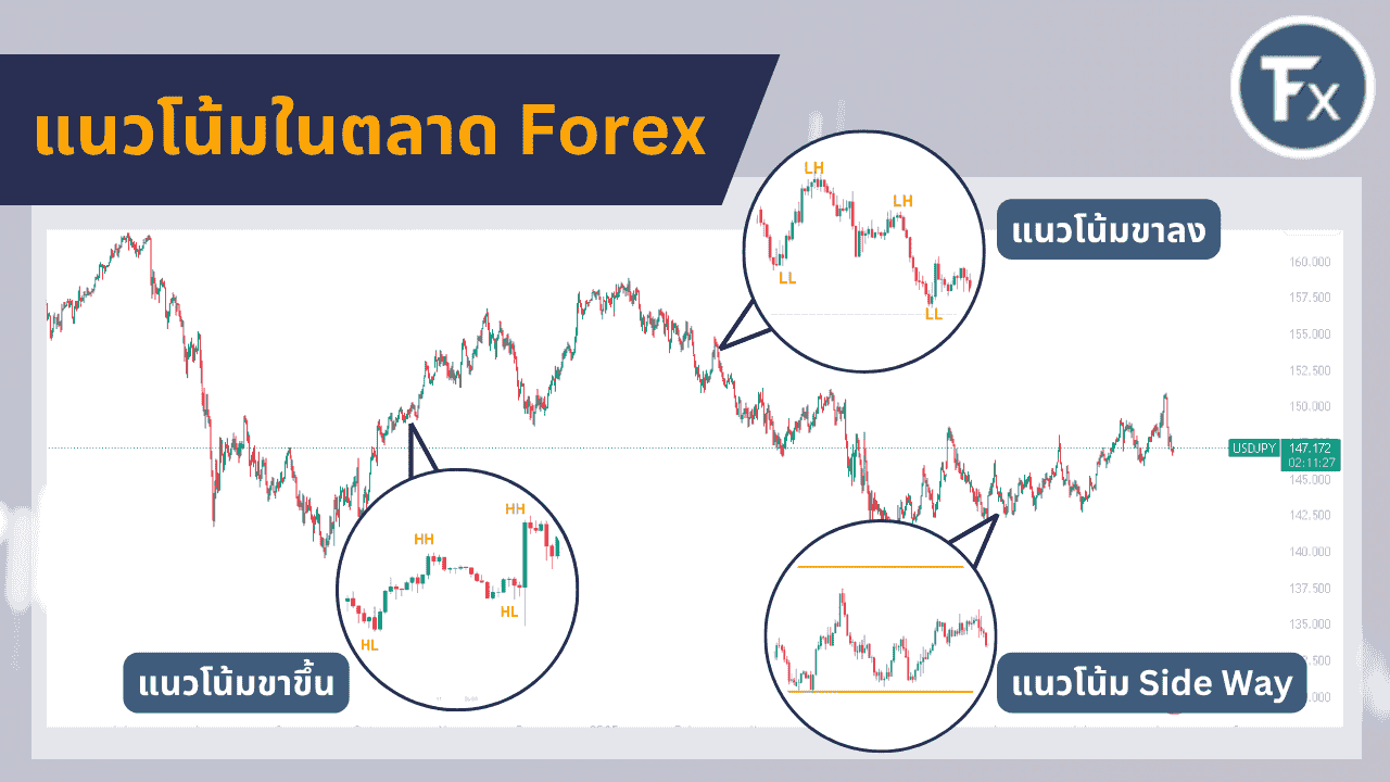 รูปแบบแนวโน้มตลาด Forex ขาขึ้น ขาลง และไซด์เวย์