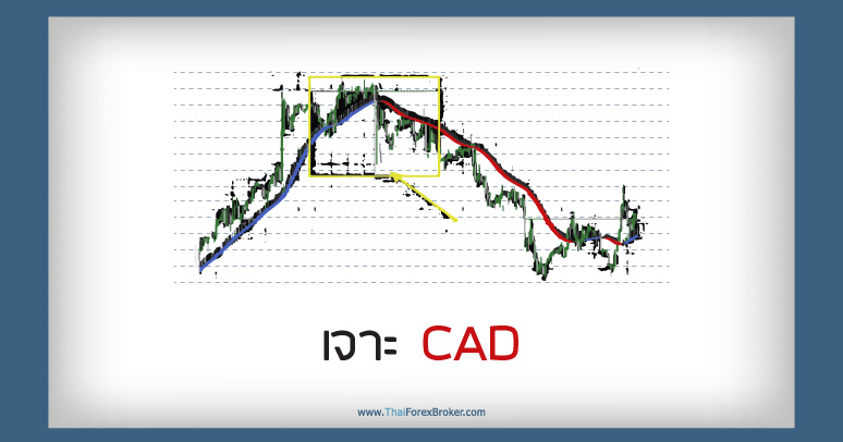 เจาะ CAD