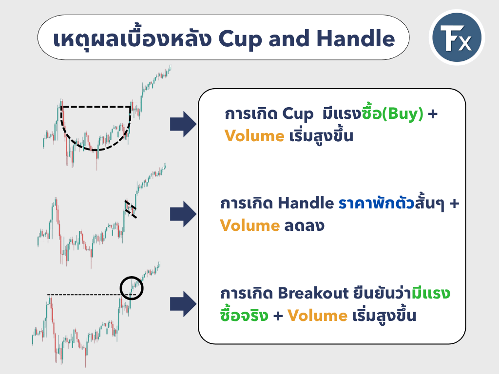 เหตุผลเบื้องหลังการเกิดรูปแบบ Cup and Handle