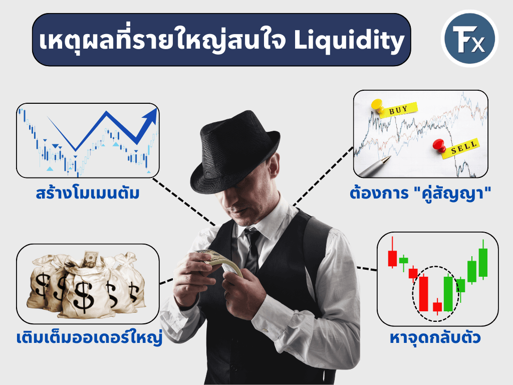 เหตุผลที่รายใหญ่สนใจ Liquidity