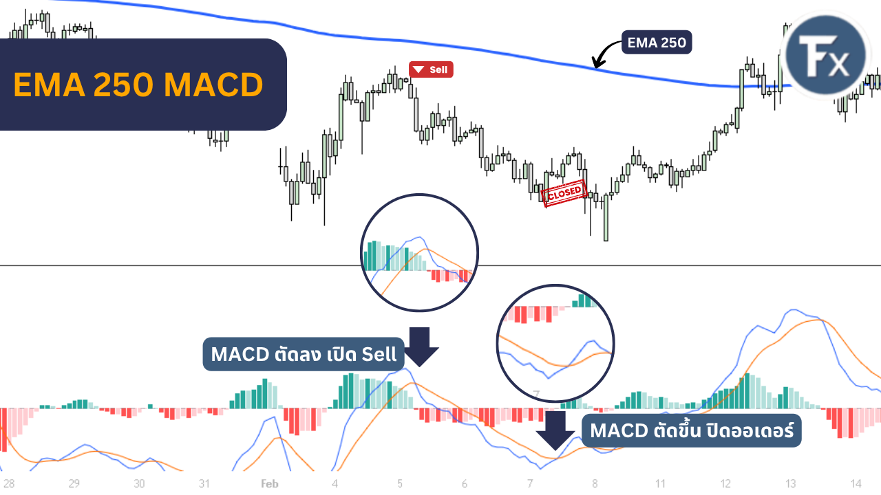 ตัวอย่างจุดเข้าเทรดขาลง (Sell) ด้วย EMA 250 และ MACD