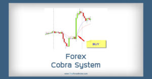 ระบบเทรด Forex Cobra System