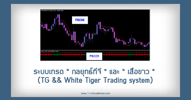 ระบบเทรด “กลยุทธ์ทีจี” และ “เสือขาว” (TG && White Tiger Trading system)