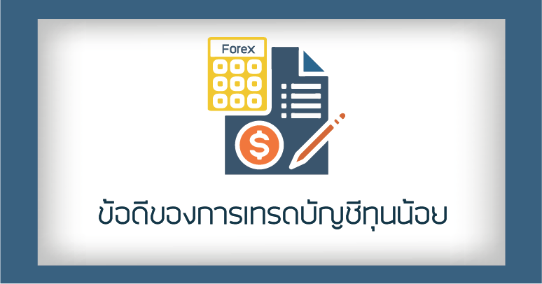 บัญชีทุนน้อย