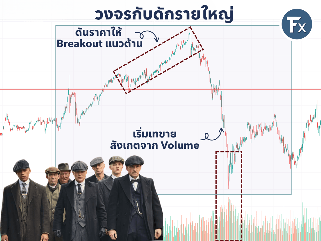 วงจรการสร้างกับดักของรายใหญ่ในตลาด Forex