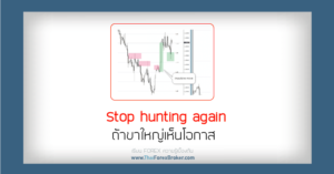 Stop hunting again
