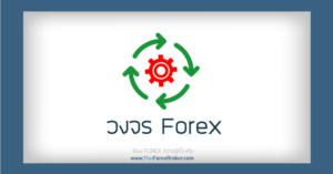 วงจร Forex