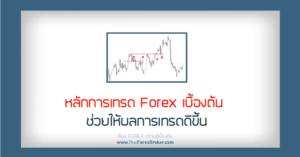 หลักการเทรดForexเบื้องต้น ช่วยให้ผลการเทรดดีขึ้น