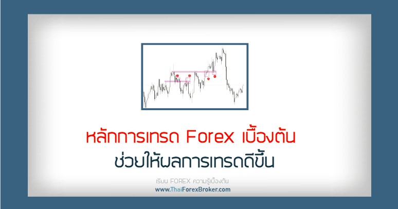 หลักการเทรดForexเบื้องต้น ช่วยให้ผลการเทรดดีขึ้น