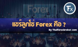 แชร์ลูกโซ่ forex คืออะไร ทำไมคนติดกับดักง่ายมาก