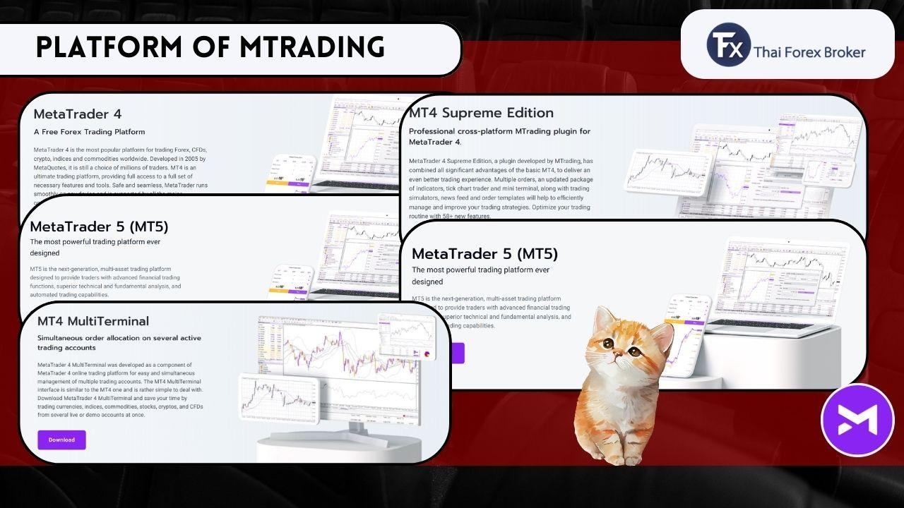 แพลตฟอร์มการเทรดของ MTrading